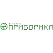 Логотип компании ООО “Приборика“ (Новосибирск)