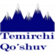Логотип компании Temirchi Qo'shuv, OOO (Ташкент)