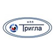 Логотип компании ООО «Научно-производственное предприятие «ТРИГЛА» (Москва)