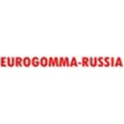Логотип компании Еврогомма-Раша (Челябинск)