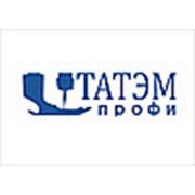 Логотип компании ООО “ТАТЭМ профи“ (Москва)