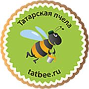 карточка с изображением пчелы. пыяла на татарском языке группы аигел. болотные пчелы. айгель гайсина и темур хадыров. пчела класс род вид.