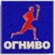 Логотип компании ООО “Компания “Огниво“ (Москва)