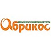 Логотип компании АБРИКОС рекламно-производственная фирма (Калининград)