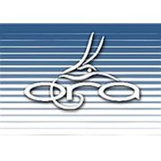 Логотип компании Оптово-розничный интернет-магазин женской одежды TM “ORA“ (Днепр)
