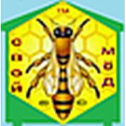 Логотип компании Ульи, мёд, кормушки, стамески, пчелопакеты, щетки, медогонки, рамки, фиксаторы, прополис, медоносы (Минск)
