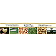 Логотип компании ФХ «Аделаида» (Херсон)