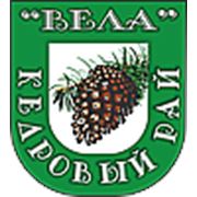Логотип компании ООО «ВЕЛА» (Москва)