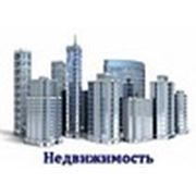 Логотип компании “ActivRealty“ (Москва)