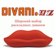 Логотип компании Divani UZ (Ташкент)