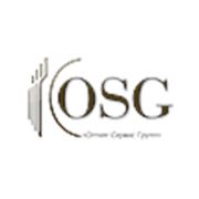Логотип компании ООО “Оптим-Сервис Групп“ (Москва)