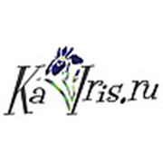 Логотип компании Дизайнер Кашаева Ирина (Пенза)