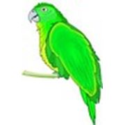 Логотип компании Avanta (Пермь)