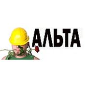 Логотип компании Альта (Москва)
