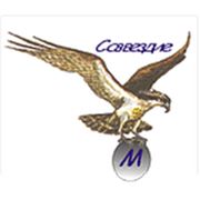 Логотип компании ООО “НПО “Созвездие М“ (Самара)