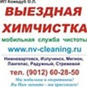 Логотип компании Выездная химчистка - ИП Кожедуб О. Л. (Нижневартовск)