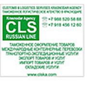 Логотип компании CLS Krasnodar Agency (Краснодар)