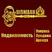 Логотип компании А.Н. Бисмарк (Кривой Рог)