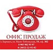 Логотип компании ИП Шишкина (Барнаул)