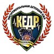 Логотип компании ООО “Центр специальной безопасности “Кедр“ (Липецк)