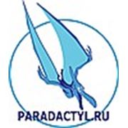 Логотип компании Paradactyl (Самара)