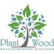 Логотип компании PlantWood (ПлантВуд), ООО (Санкт-Петербург)