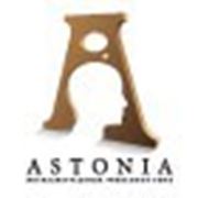 Логотип компании ООО «АСТОНИА» (Москва)