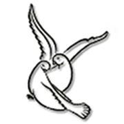 Логотип компании Творческое Объединение ПТИЦА СЧАСТЬЯ (Белгород)