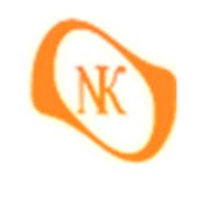 Логотип компании Веб студия “Наноток“ (Барнаул)