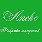 Логотип компании “Апекс“ (Челябинск)