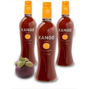 Логотип компании Ксанго (Xango), АО (Караганда)