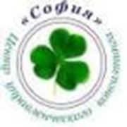 Логотип компании Центр управленческого консалтинга “София“ (Харьков)