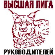 Логотип компании Высшая Лига Руководителей (Иркутск)