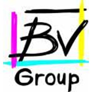 Логотип компании BVG (БиВиДжи), ТОО (Алматы)