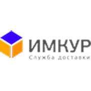 Логотип компании ИМКУР (Москва)