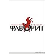 Логотип компании ООО “Фаворит“ (Казань)