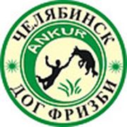 Логотип компании СКЦ “Анкур“ (Челябинск)
