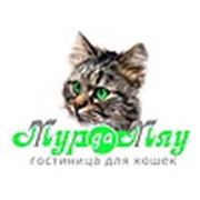 Логотип компании Гостиница для кошек «Мур-Да-Мяу» (Нижний Новгород)