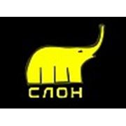 Логотип компании Зоомагазин “Слон“ (Санкт-Петербург)