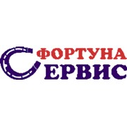 Логотип компании Фортуна Сервис (Киев)