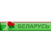Логотип компании РПУП «ИК 8-Поиск» ДИН МВД Республики Беларусь (Орша)