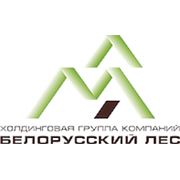 Логотип компании ЛИК-Инвест (Минск)