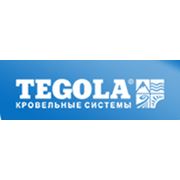 Логотип компании ЧУП “ТеголаБел“ (Минск)