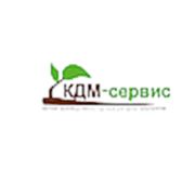 Логотип компании ЧПТУП “КДМ-сервис“ (Толочин)