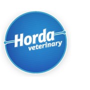 Логотип компании Хорда Групп, ООО (Киев)
