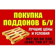 Логотип компании Palletex (Одесса)