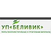 Логотип компании УП “БелИВИК“ (Минск)