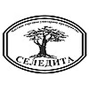Логотип компании ЧТУП “Селедита“ (Гомель)
