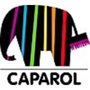 Логотип компании магазин Полосатый слон (Новополоцк)