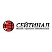 Логотип компании ООО “Сейтинал“ (Минск)